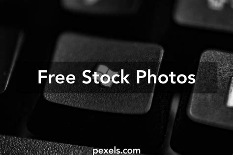 microsoft stock photos free